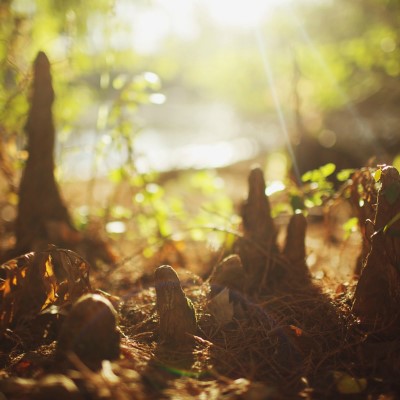 1920 x 1080 HD Wallpapers 2580